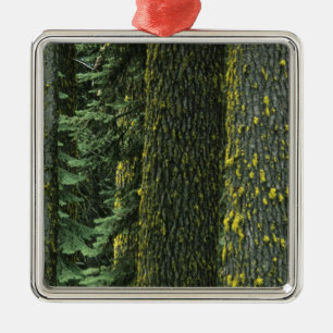 Mt. Ashland, Rogue RIver National Forest, Metal Ornament