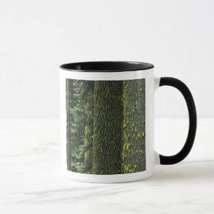 Mt. Ashland, Rogue RIver National Forest, Mug