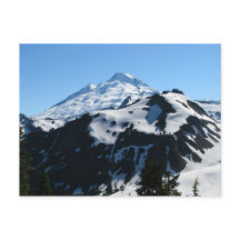 Mt Baker In July