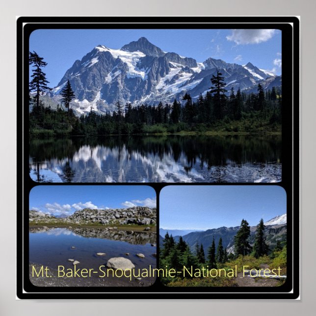 Mt. Baker-Snoqualmie National Forest Collage Poster (Front)