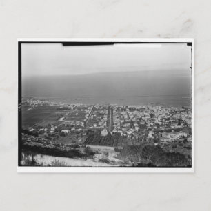 Mt. Carmel, Haifa, ca. 1922 Postcard