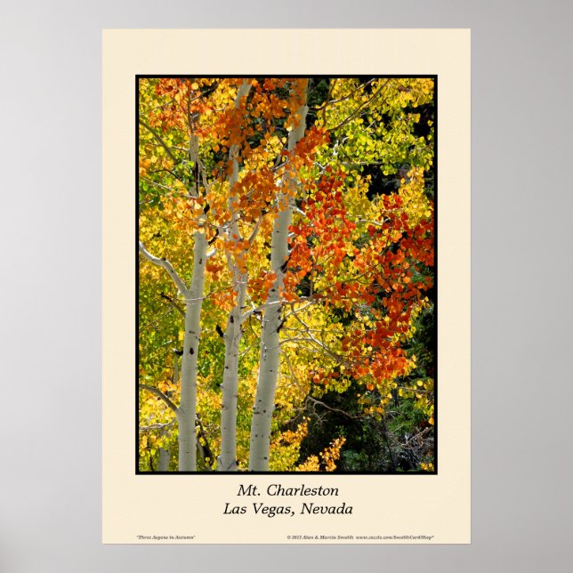 Mt. Charleston NV Autumn Aspen 20"x28" Poster (Front)