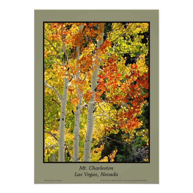 Mt. Charleston NV Autumn Aspen 20"x28" Poster (Front)