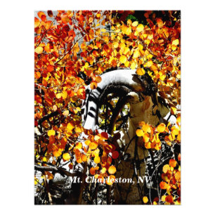 Mt. Charleston NV Autumn Aspen Photo Print