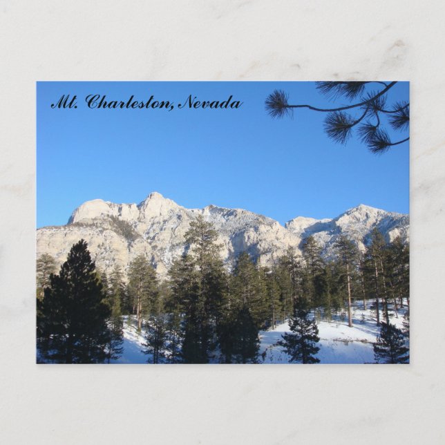 Mt Charleston Postcard (Front)