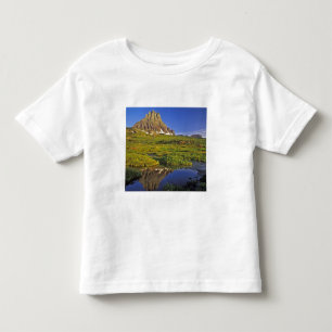 Mt Clements reflects into small pool at Logan Toddler T-shirt