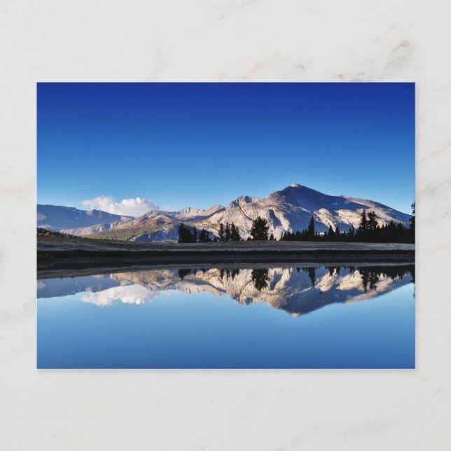Mt.Dana, Tuolumne Meadows, Yosemite, CA. Postcard (Front)