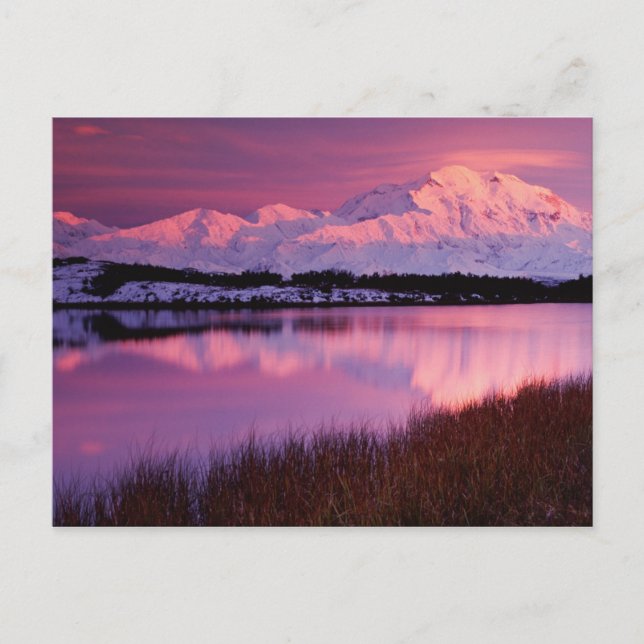 Mt. Denali at sunset from Reflection Pond Postcard (Front)