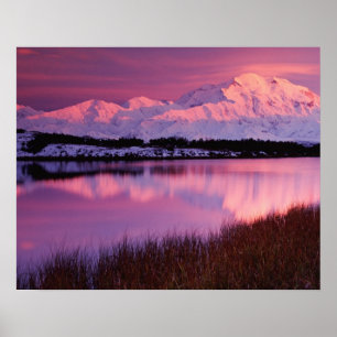 Mt. Denali at sunset from Reflection Pond Poster