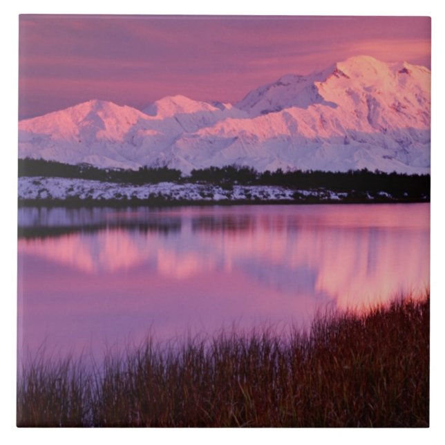 Mt. Denali at sunset from Reflection Pond Tile (Front)