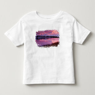 Mt. Denali at sunset from Reflection Pond Toddler T-shirt