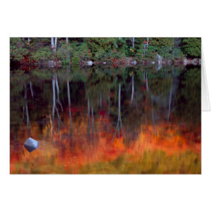 Mt. Desert Island   Acadia National Park, Maine