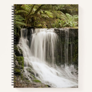 Mt. Field National Park   Horseshoe Falls Notebook