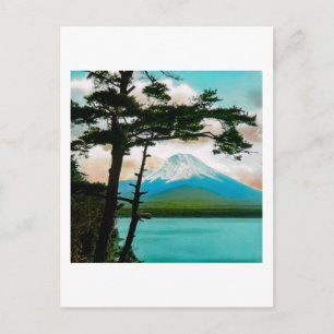 Mt. Fuji Through the Pines Vintage Japanese 富士山 Postcard