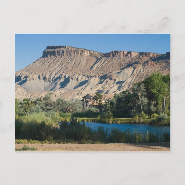 Mt. Garfield at Palisade, Colorado Postcard (Front)