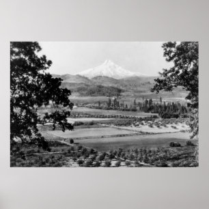 Mt. Hood from Hood River Valley Photograph Poster