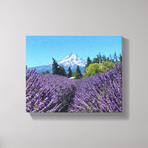 Mt Hood Oregon Canvas Print