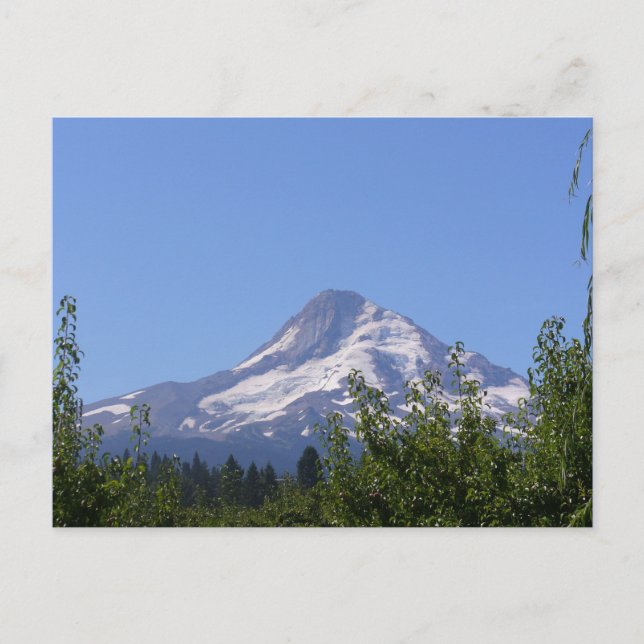Mt Hood, Oregon on an August day postcard (Front)
