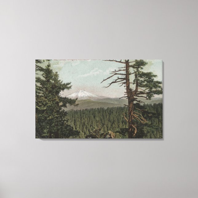 Mt. Hood, Oregon - View of Mountain from Distant Canvas Print (Front)