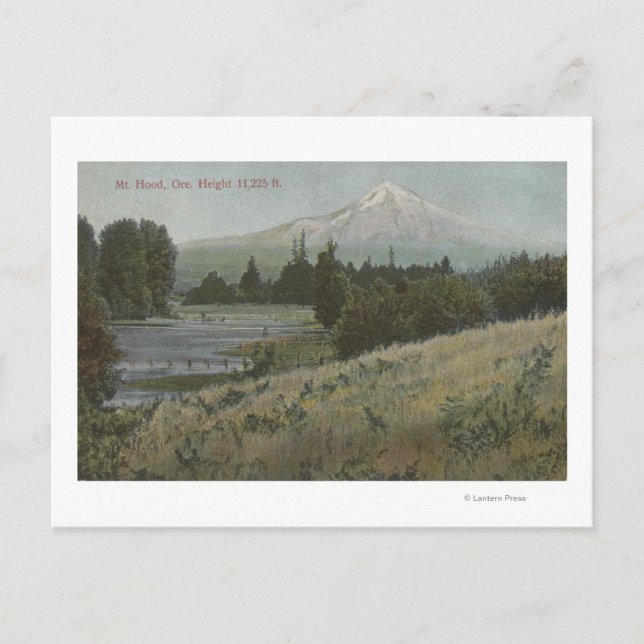 Mt. Hood, Oregon - View of Mountain from Hood Postcard (Front)