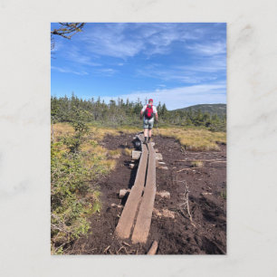 Mt. Jackson et Mt. Pierce Bog Bridge Carte postale