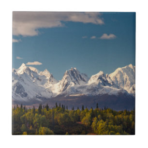 Mt. McKinley   Alaska Tile