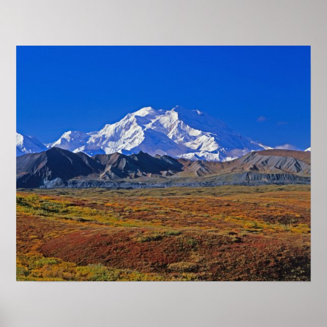 Mt . McKinley Denali National Park , Alaska. Poster (Front)