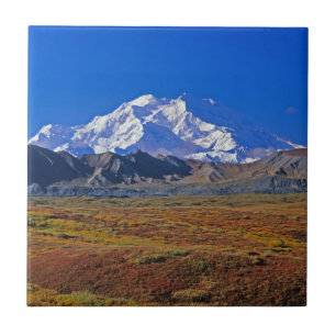Mt . McKinley Denali National Park , Alaska Tile