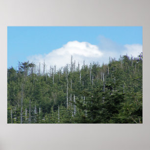 Mt. Mitchell II Poster