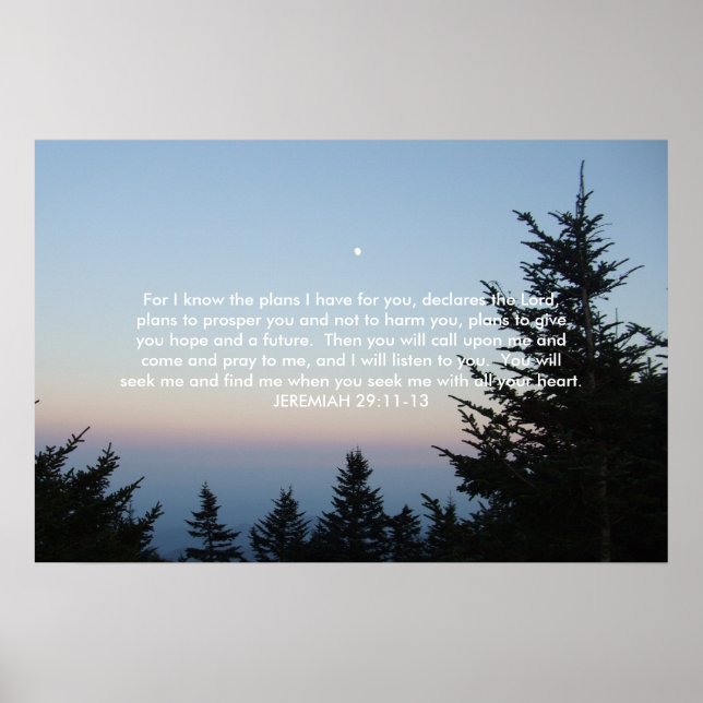 Mt. Mitchell North Carolina - JEREMIAH 29:11-13 Poster (Front)