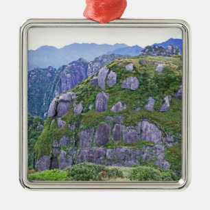 Mt. Nagata, Yakushima, Kagoshima, Japan Metal Ornament
