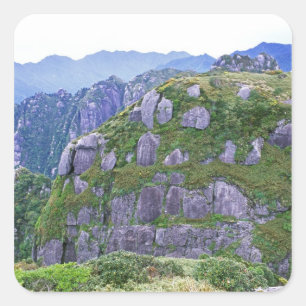 Mt. Nagata, Yakushima, Kagoshima, Japan Square Sticker