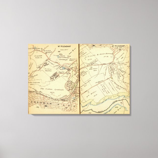 Mt. Pleasant, New York Canvas Print (Front)