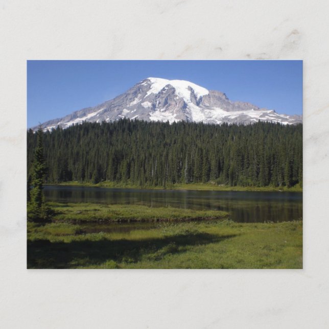 Mt. Rainer Postcard (Front)