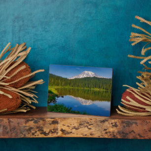 Mt. Rainier and Reflection Lake Plaque