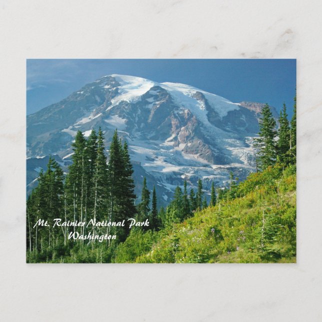 Mt. Rainier National Park Postcard (Front)