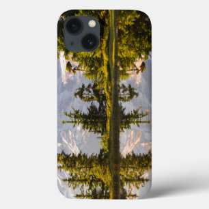 Mt. Rainier reflected in a tarn near Plummer Peak iPhone 13 Case