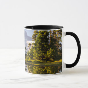 Mt. Rainier reflected in a tarn near Plummer Peak Mug