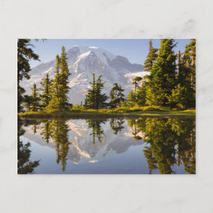 Mt. Rainier reflected in a tarn near Plummer Peak Postcard