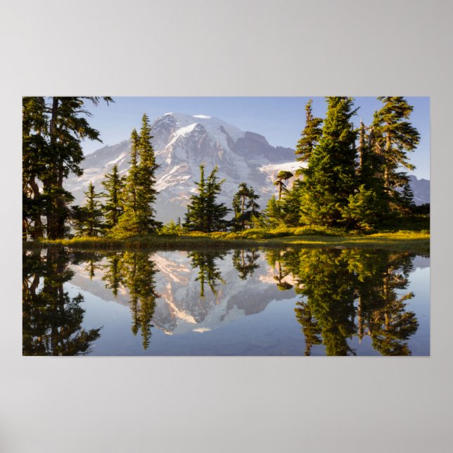 Mt. Rainier reflected in a tarn near Plummer Peak Poster (Front)