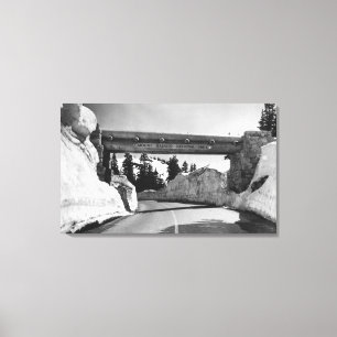 Mt. Rainier, WA Chinook Pass Summit Naches Pass Canvas Print