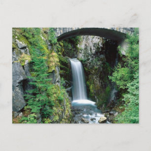 Mt. Ranier Nat. Park, Washington 5 Postcard