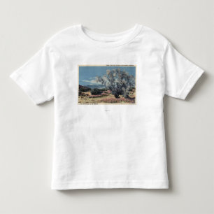Mt. San Gorgonio View, Smoke Trees Toddler T-shirt