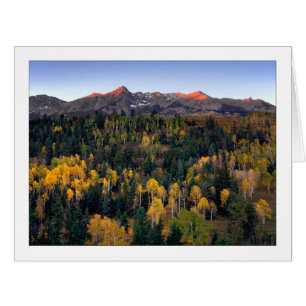 "Mt. Sneffel - Dallas Divide Road"