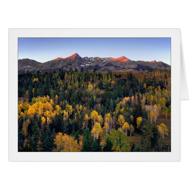 "Mt. Sneffel - Dallas Divide Road" (Devant horizontal)