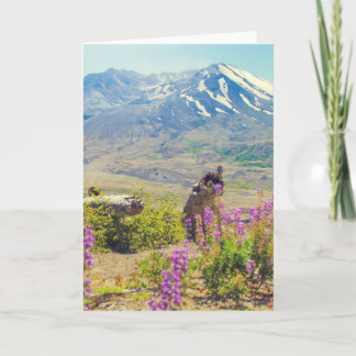 Mt. St. Helens Holiday Card