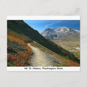 Mt. St. Helens Washington State Postcard