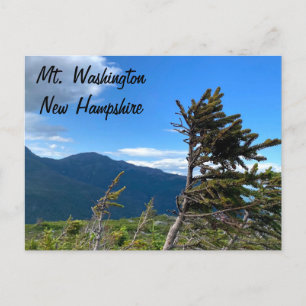 Mt. Washington, NH Postcard