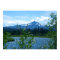 Mt. Washington