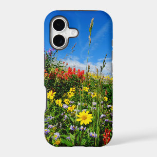 Mt. Wildflowers